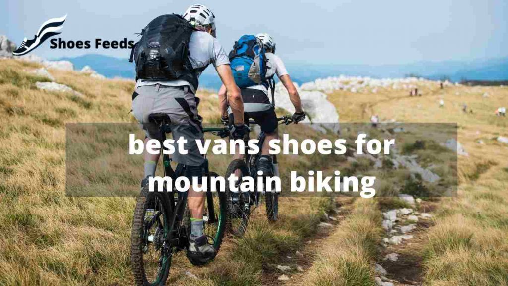 best vans shoes for mountain biking