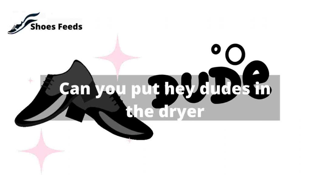 Can you put hey dudes in the dryer
