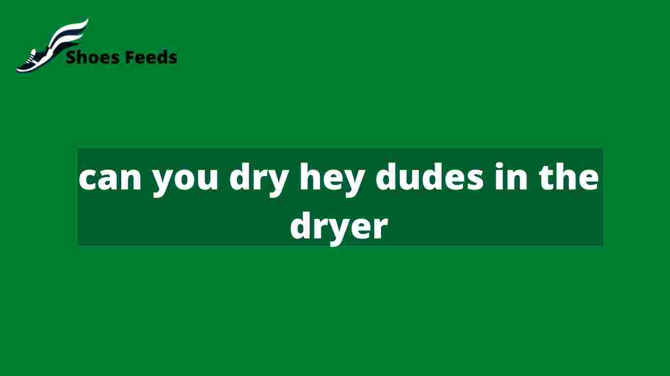 can you dry hey dudes in the dryer
