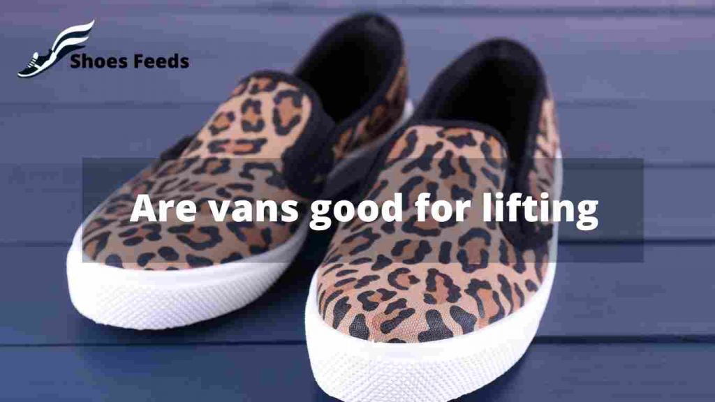 Are vans good for lifting​