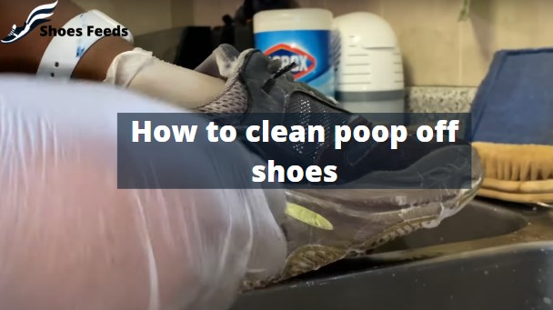How to clean poop off shoes