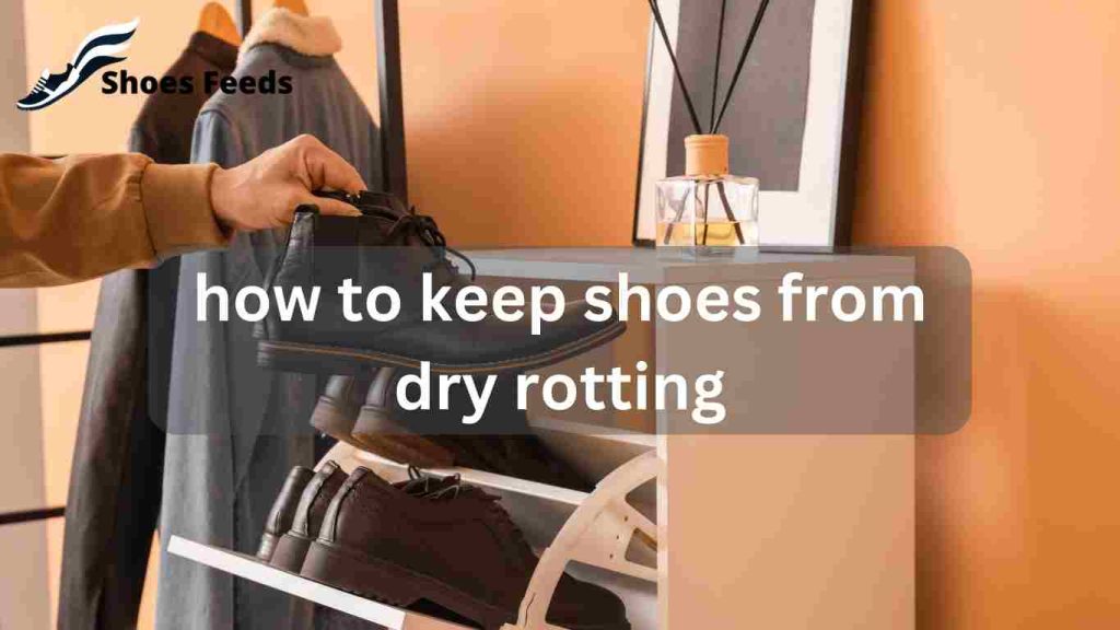 how to keep shoes from dry rotting 